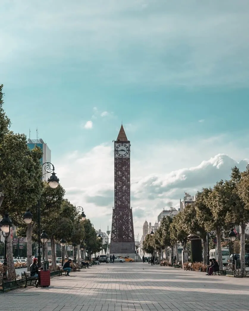 A tree-lined avenue in Tunis leading to the clock tower, under a wide sky.